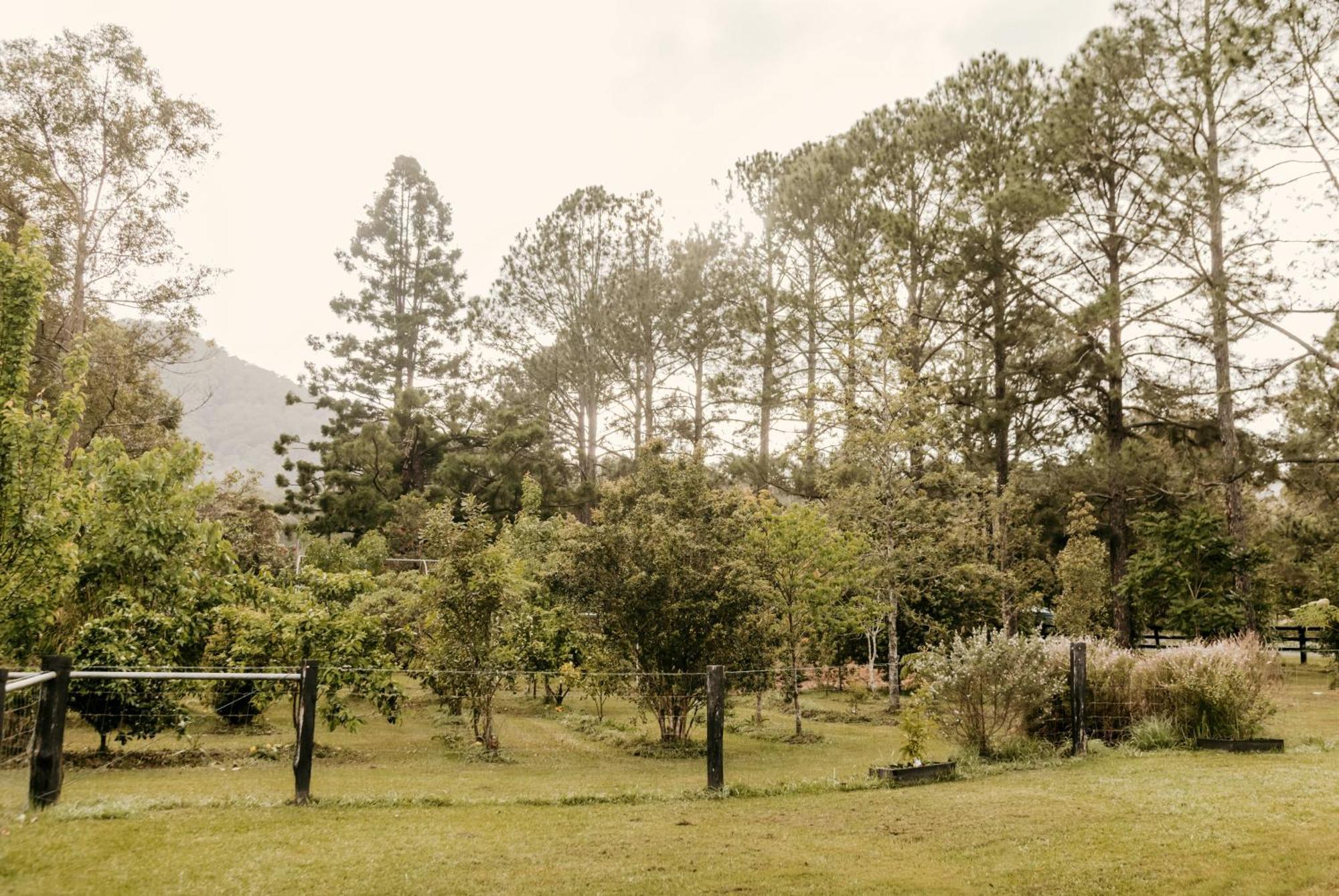 Contained In Nimbin Accommodation エクステリア 写真